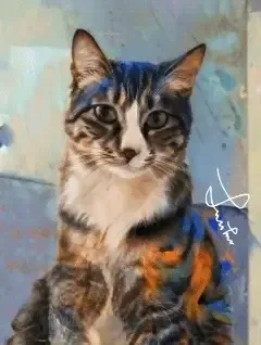 Portrait illustration of JoinAI's company mascot, the cat JiuJiu.